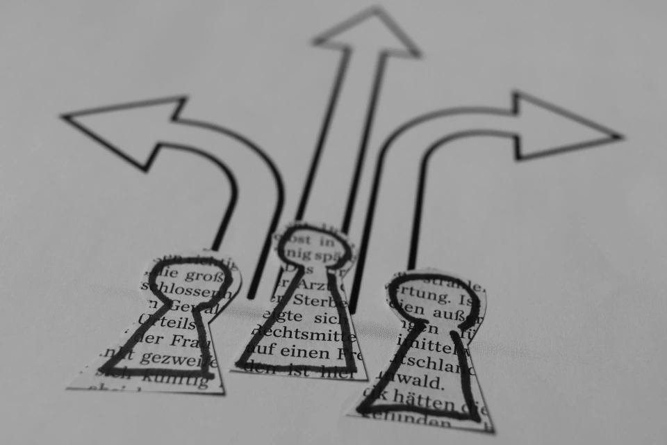 Orientation et formation